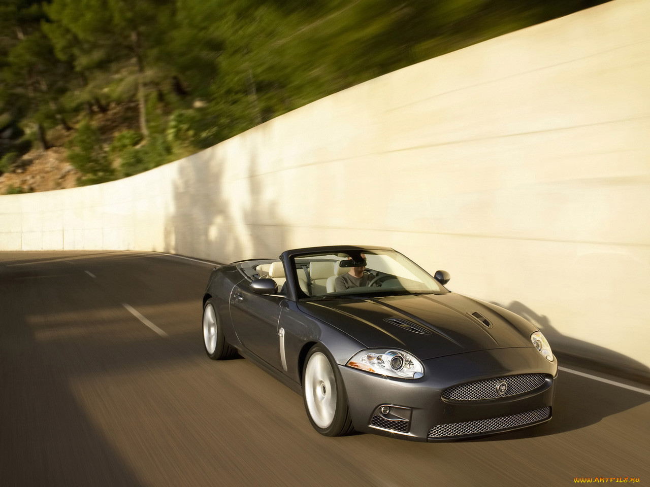 , jaguar